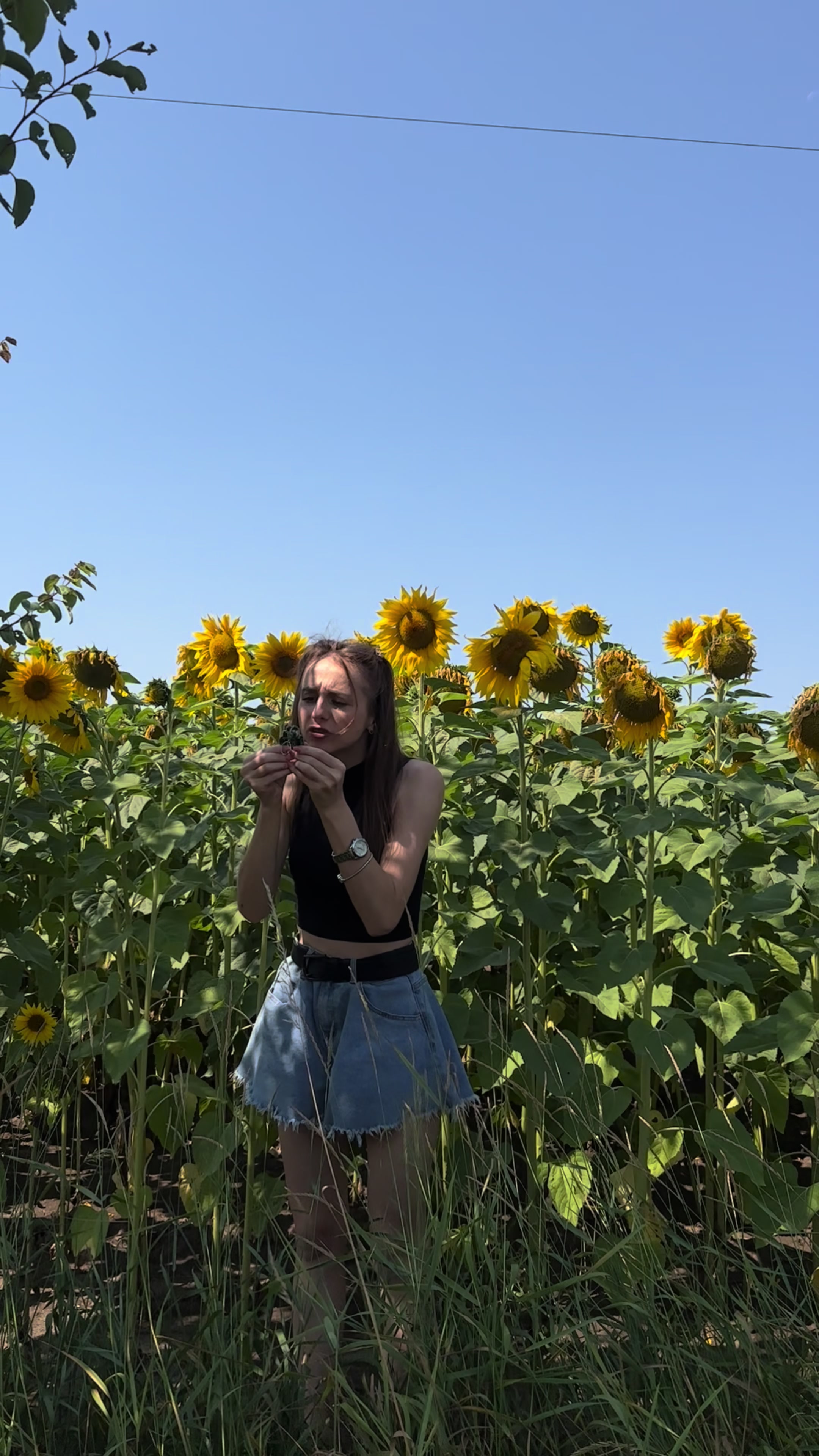 @Yana Vasylivna🤪
