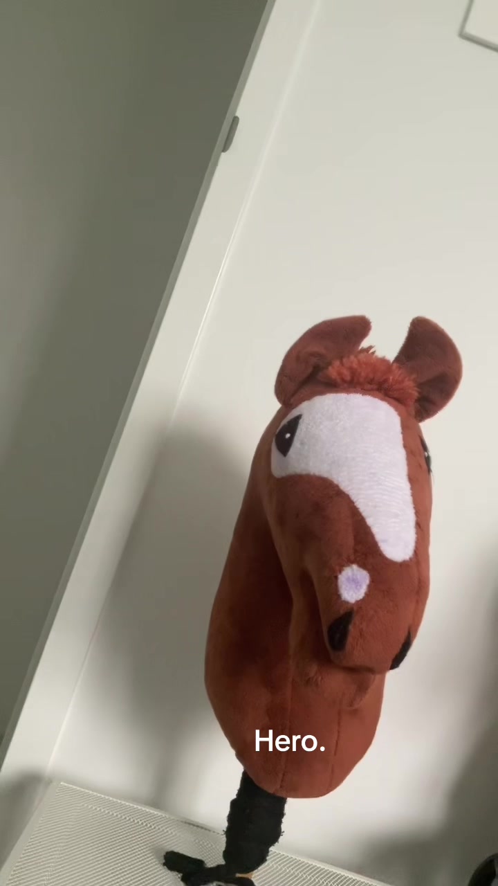 @🔭 Daisyy 🐴
