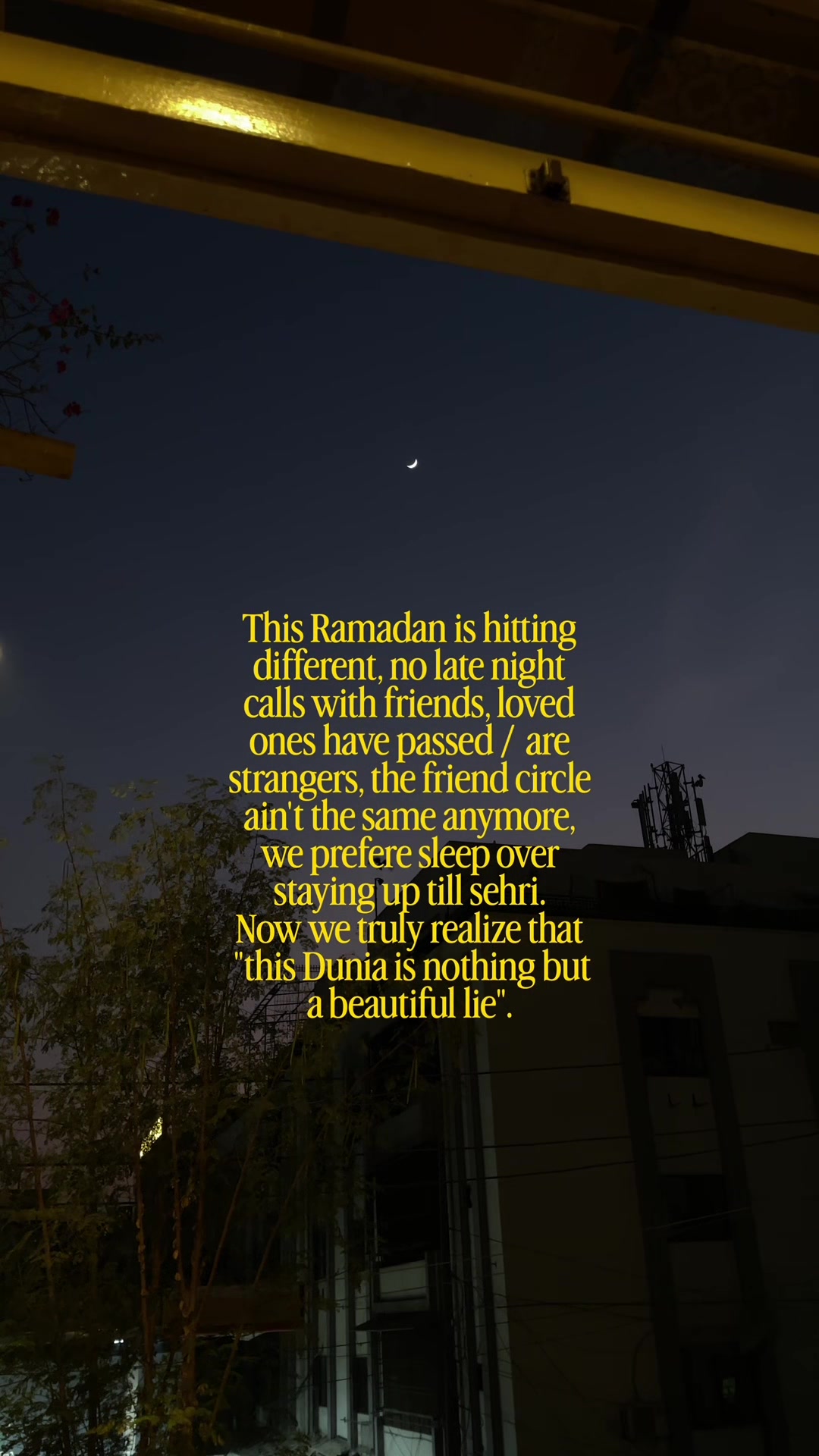@🦇