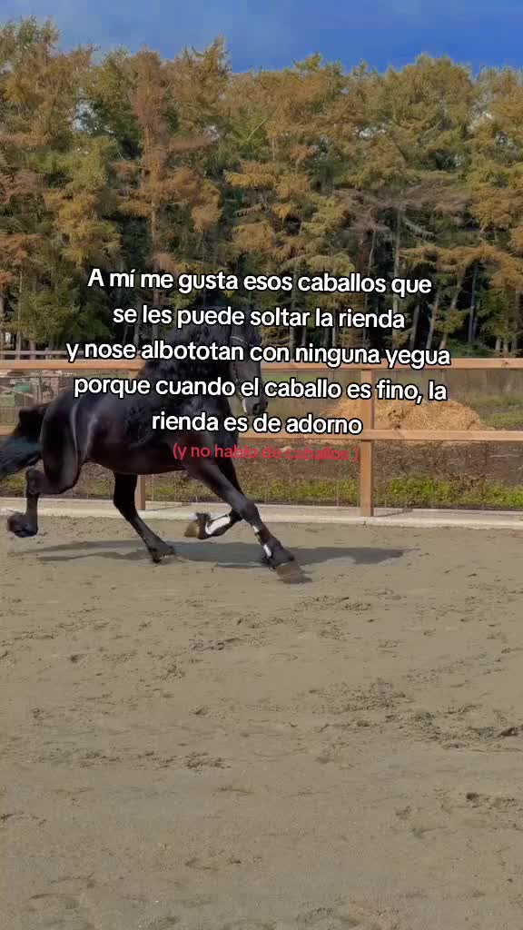 @🇧🇴𝙰sⒽelen🌻🥀🦌