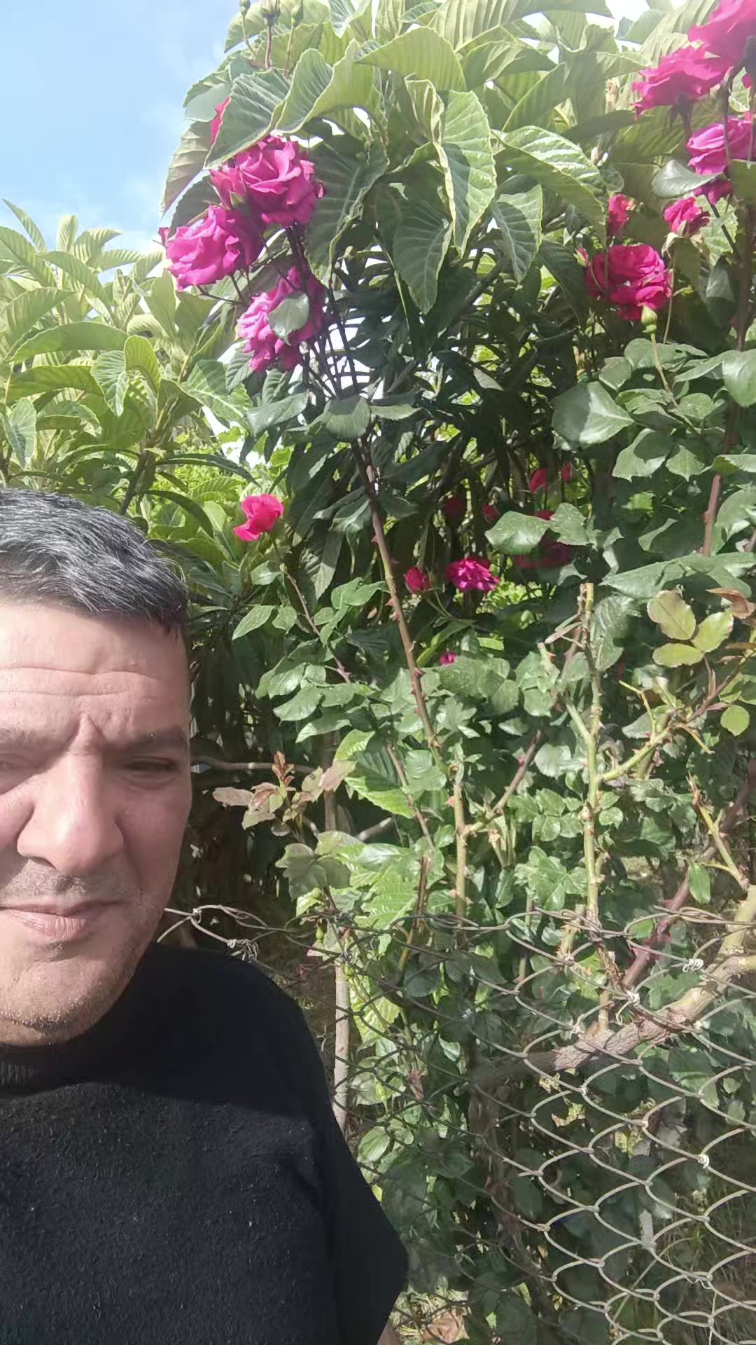 @l&uuml;t___Eşqin