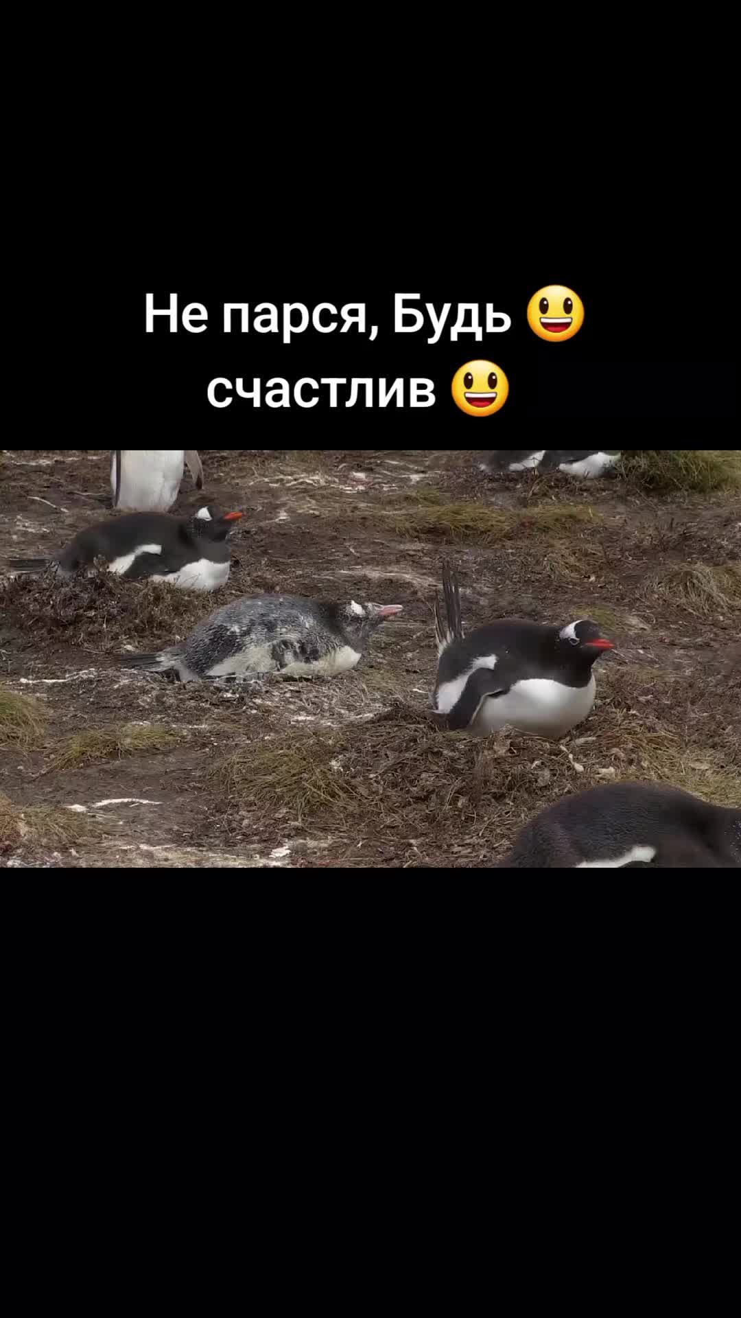 @BomBaLeila88888