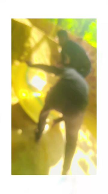 @vinoth kmuar
