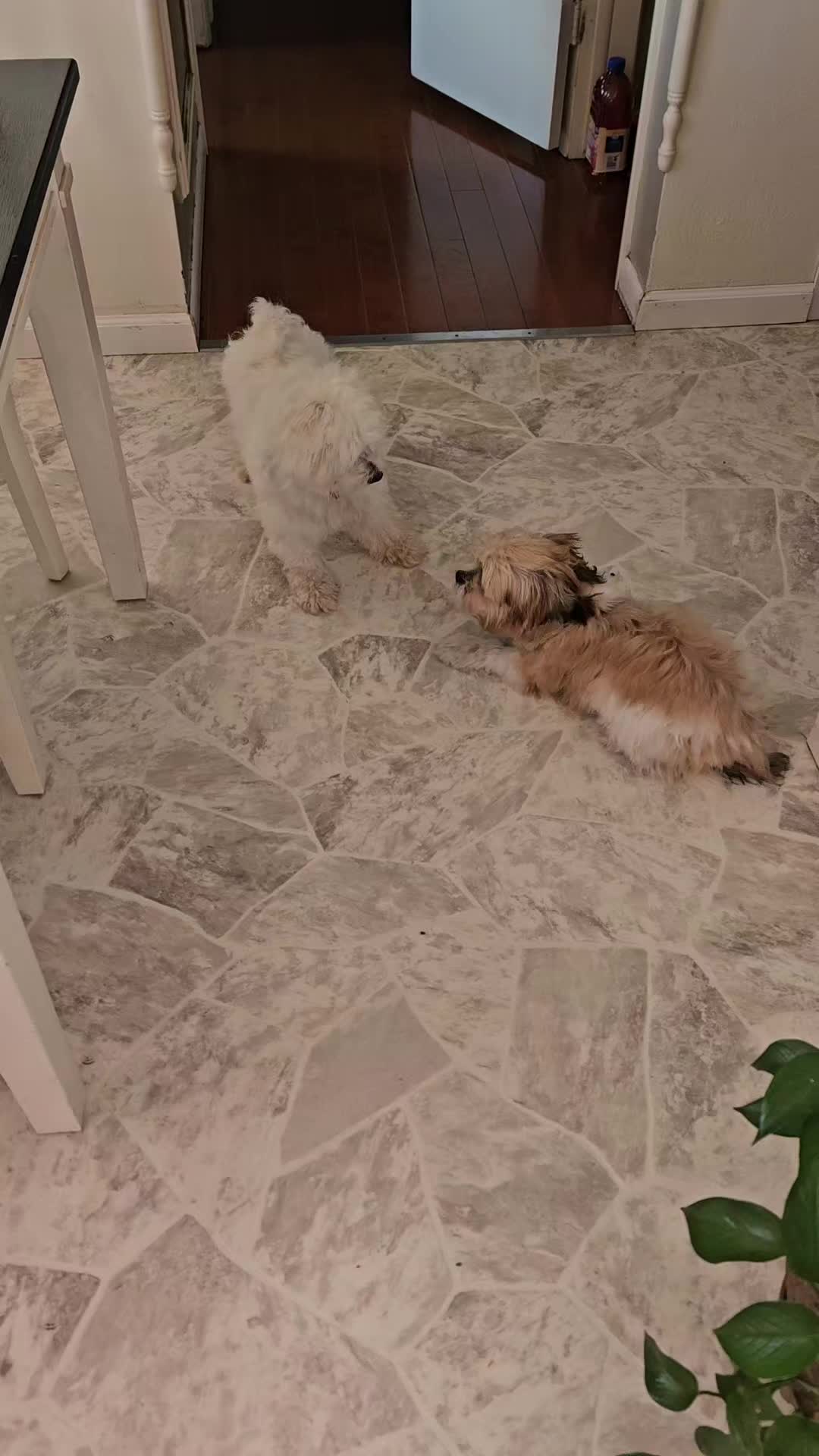 @Erika🥰