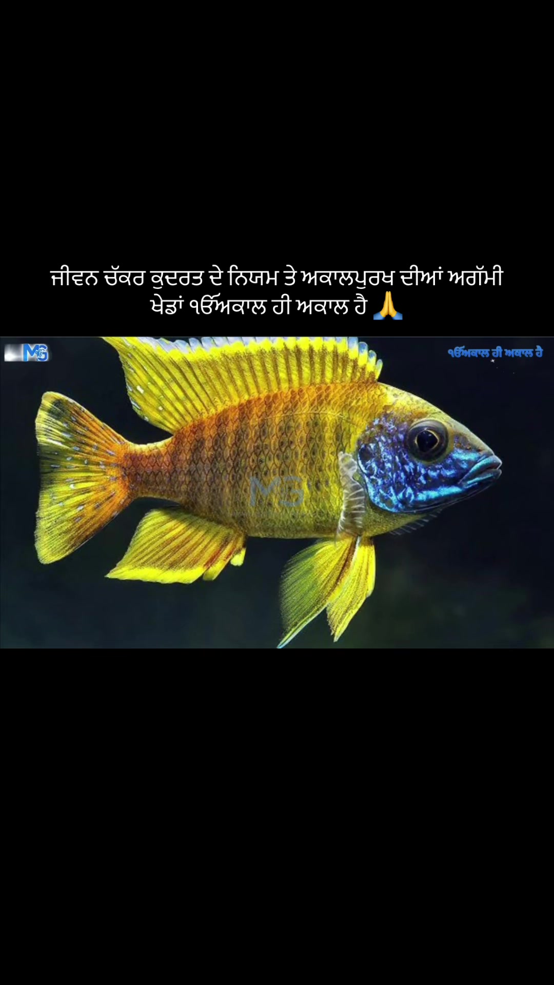 @Mandeep Singh Gill