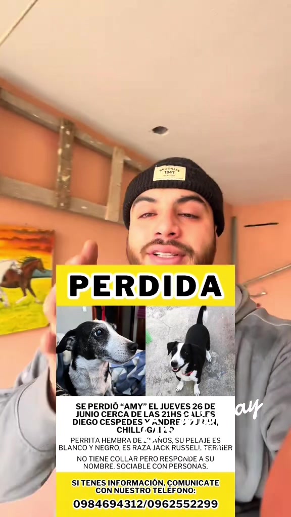 @Alexis Larco