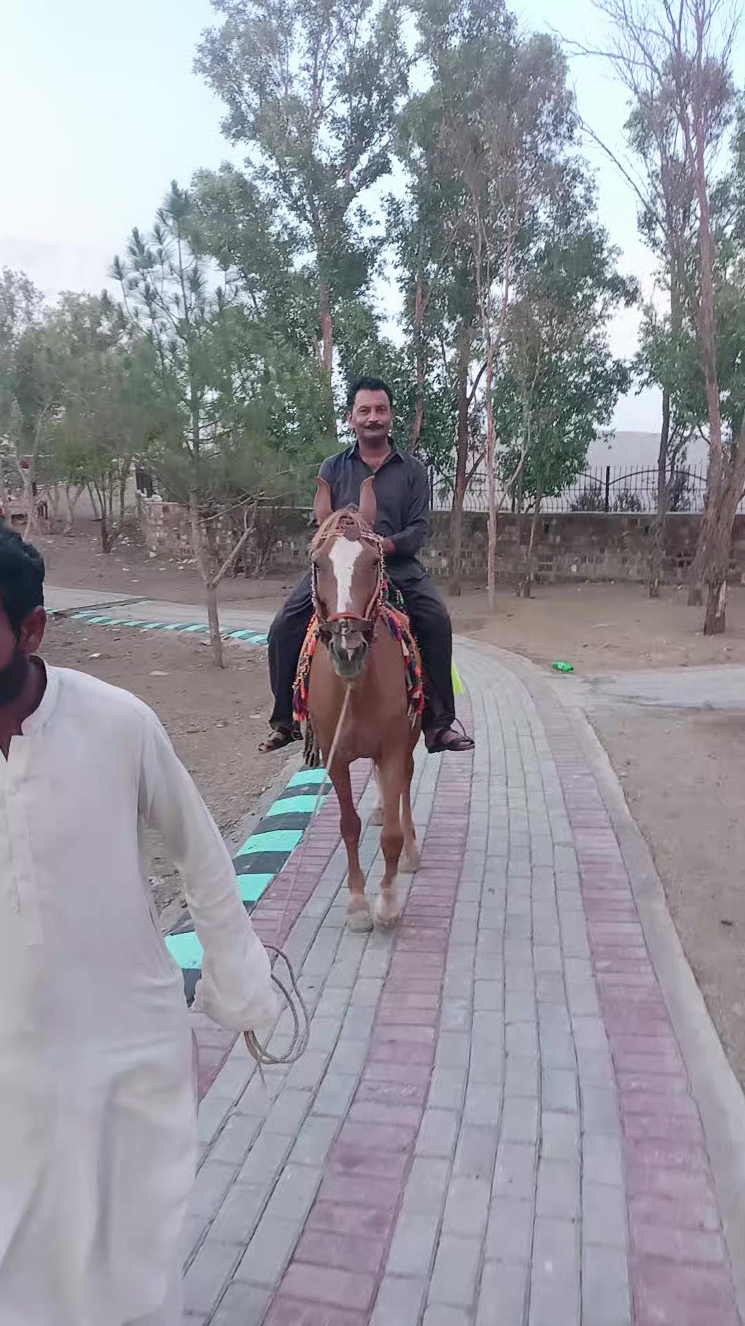 @Mian Rashid