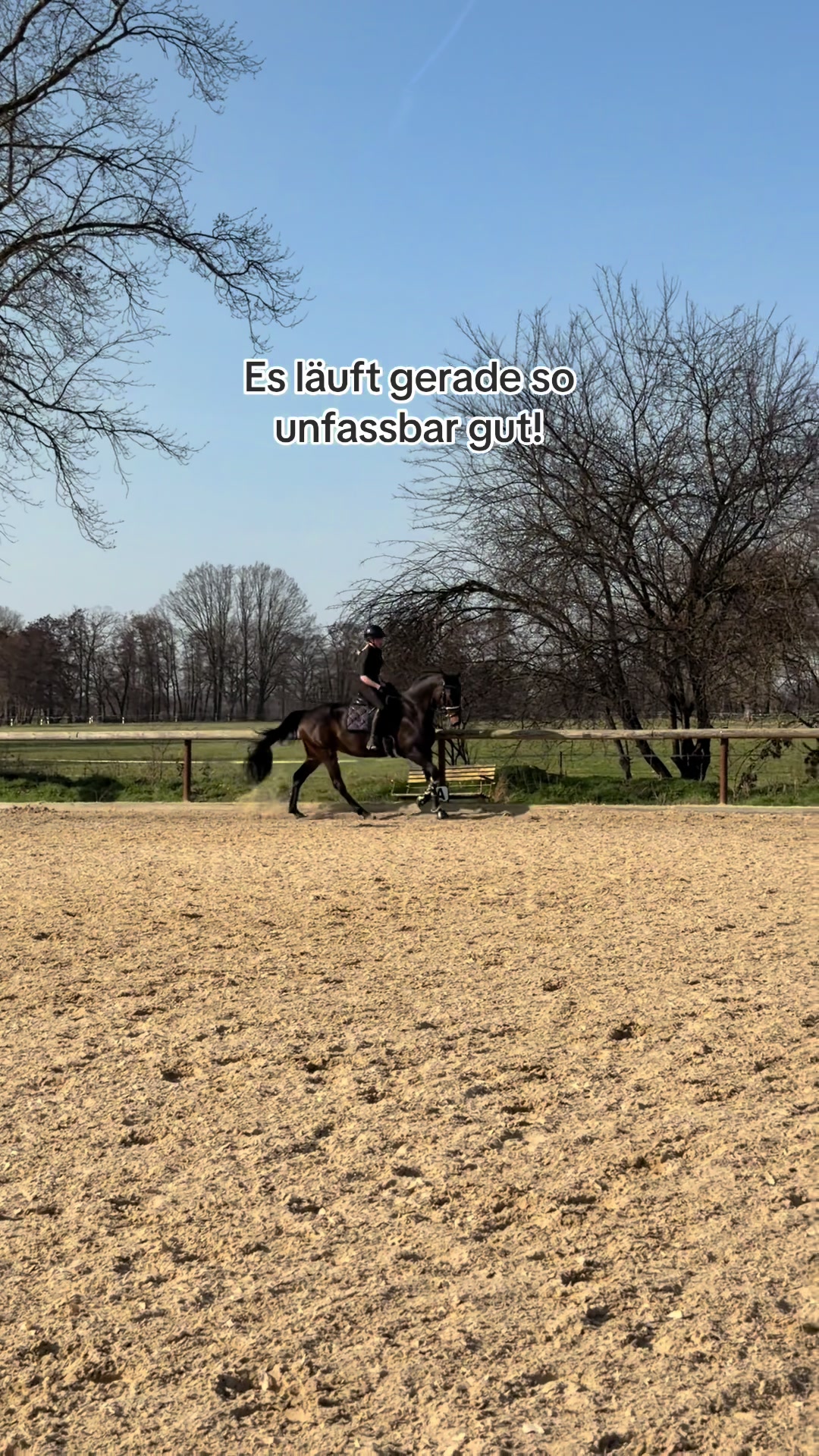 @_leonie_equestrian_