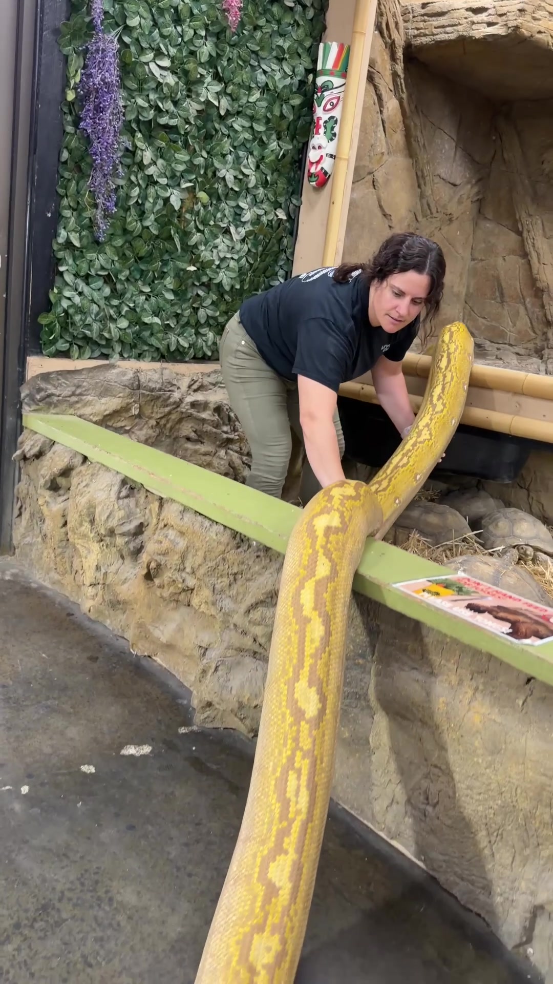 @The Reptile Zoo