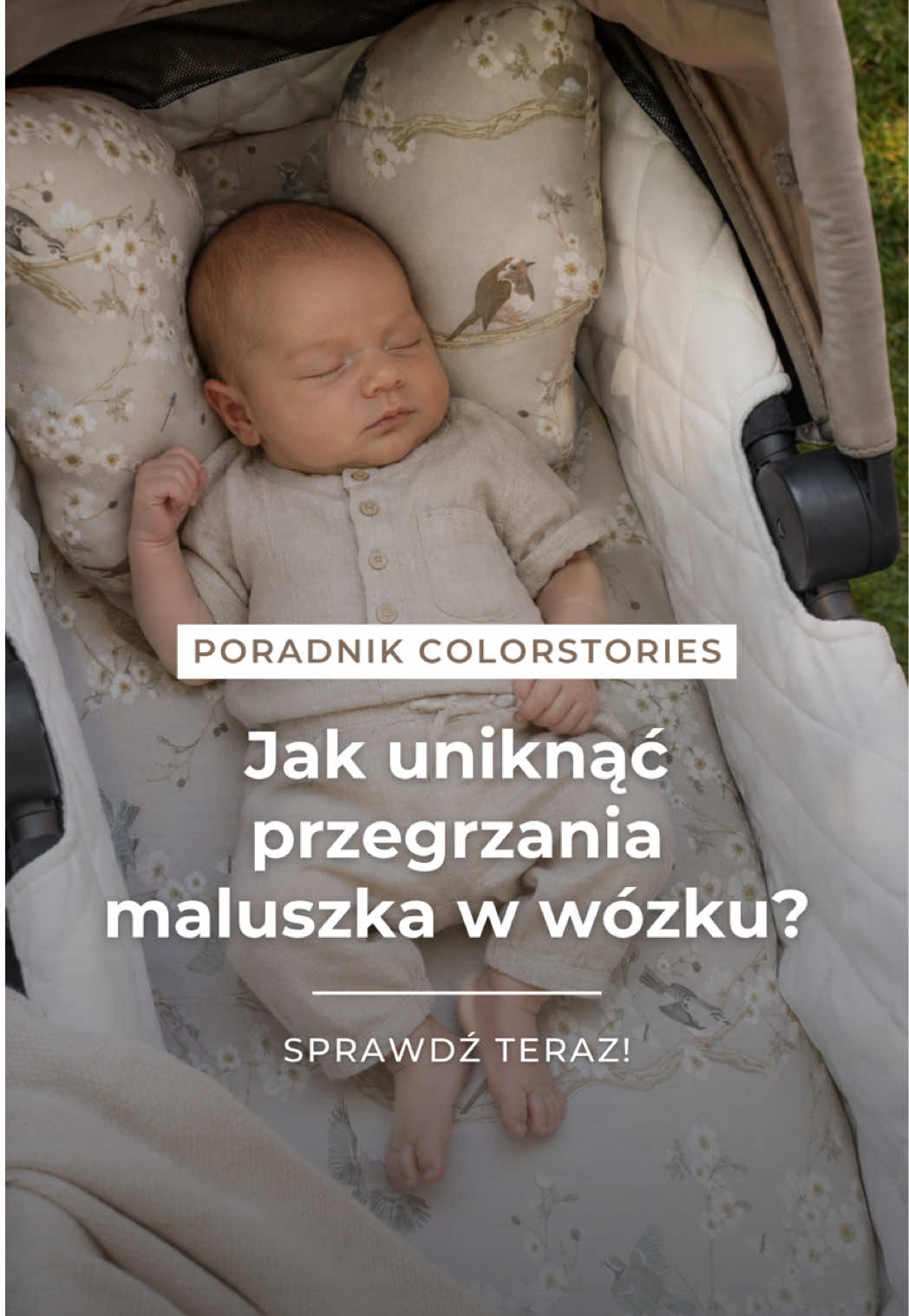 @ColorStories&ensp;For&ensp;Kids