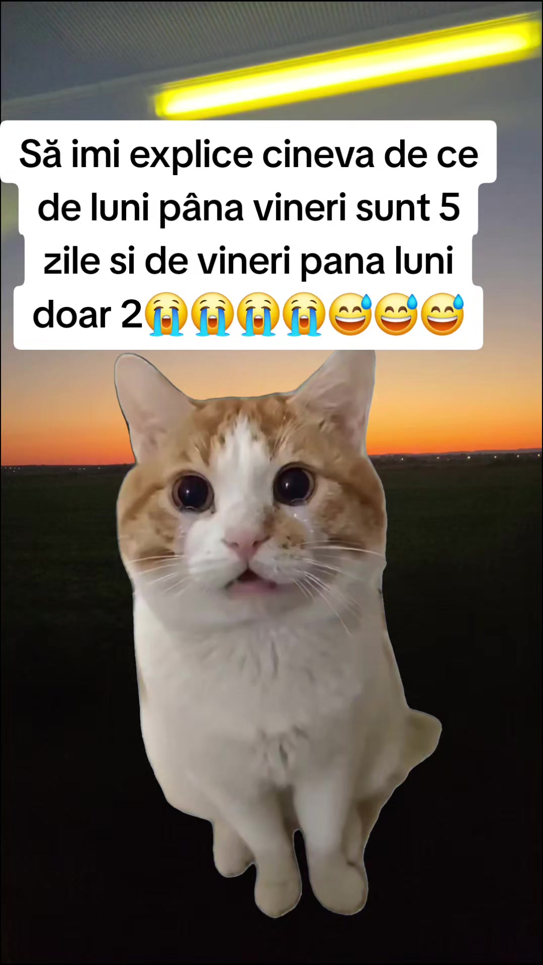 @Irimia Vasilică