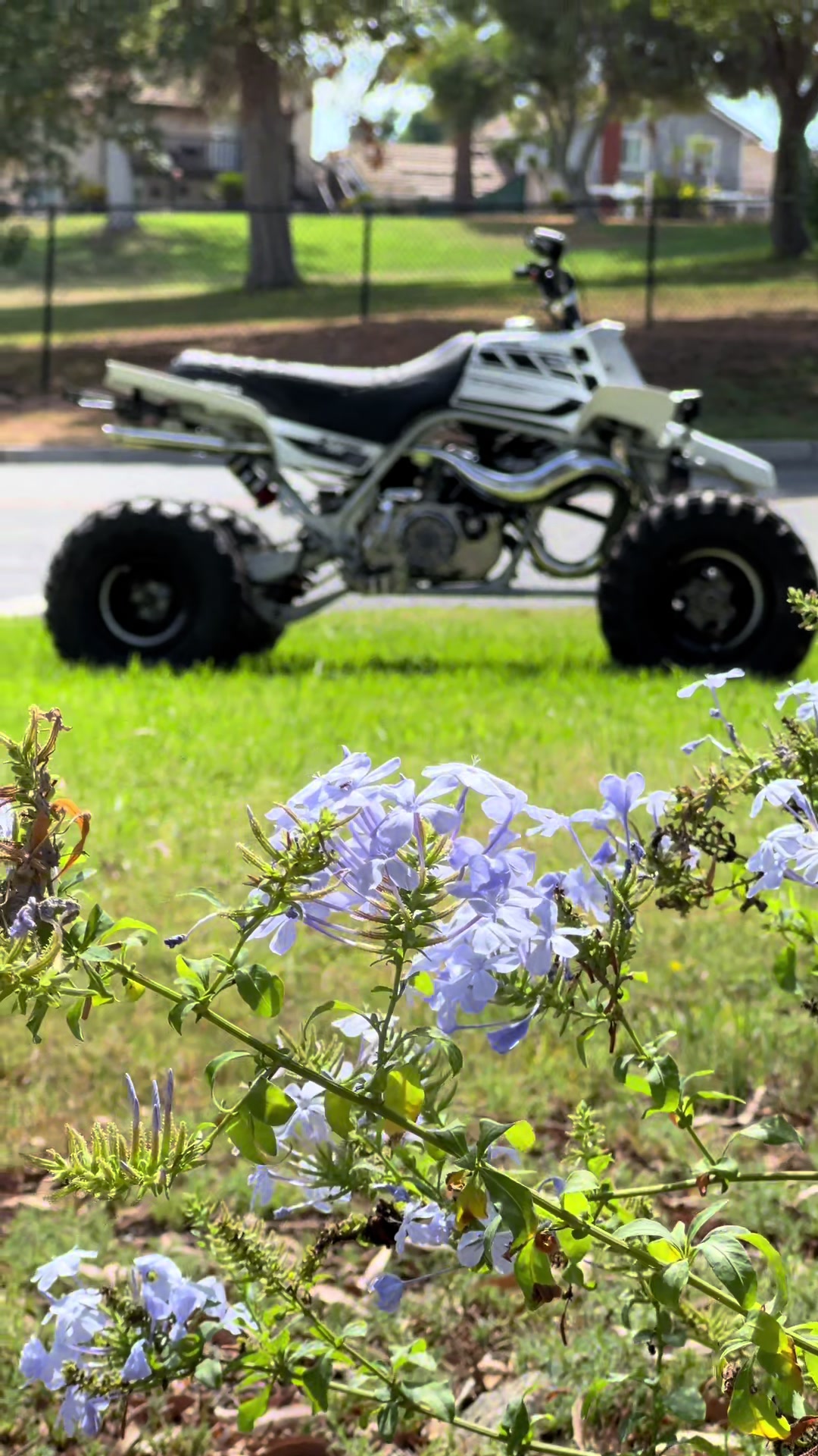 @Yfz_Bacon