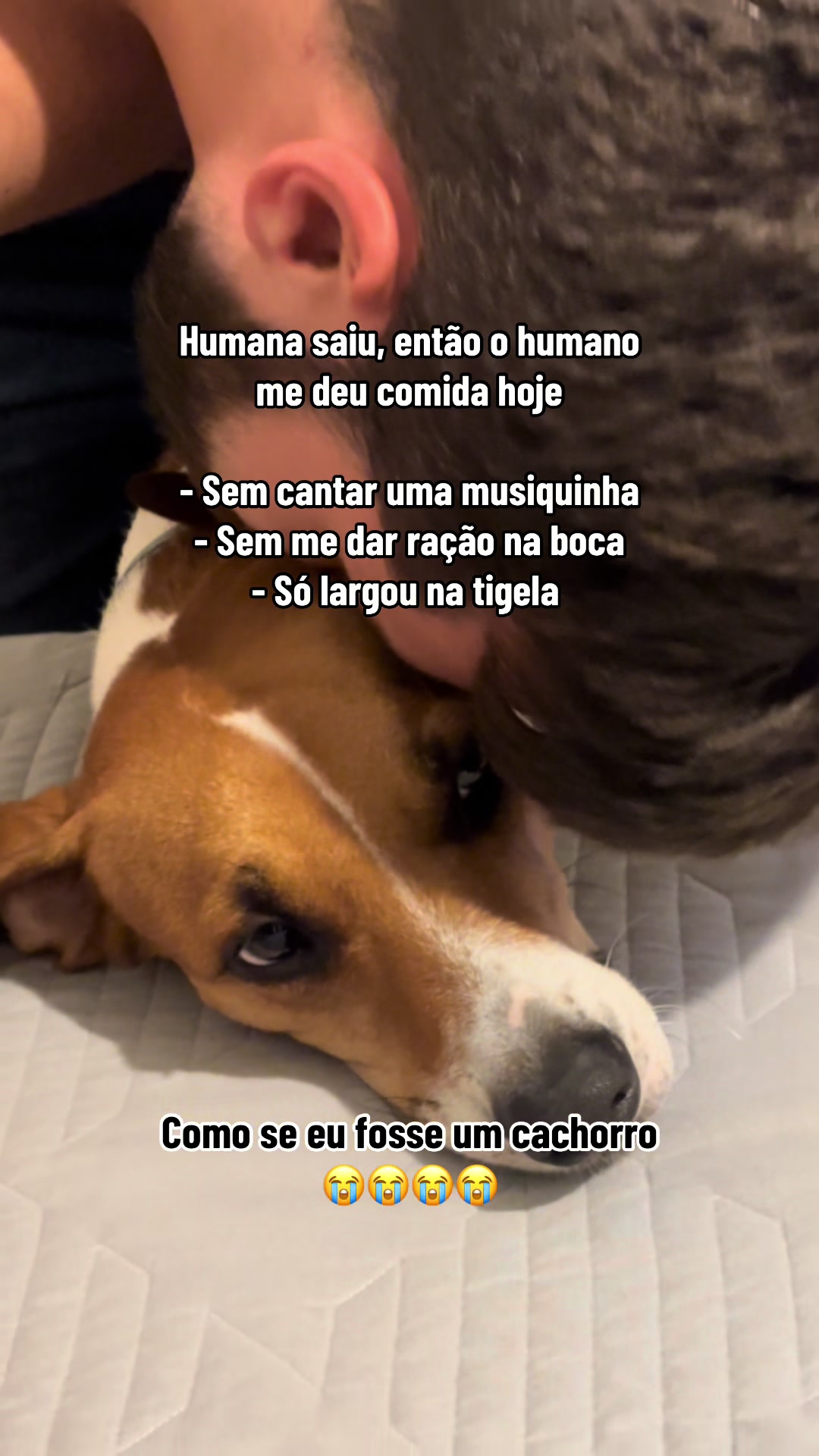 @Pacoserelepe