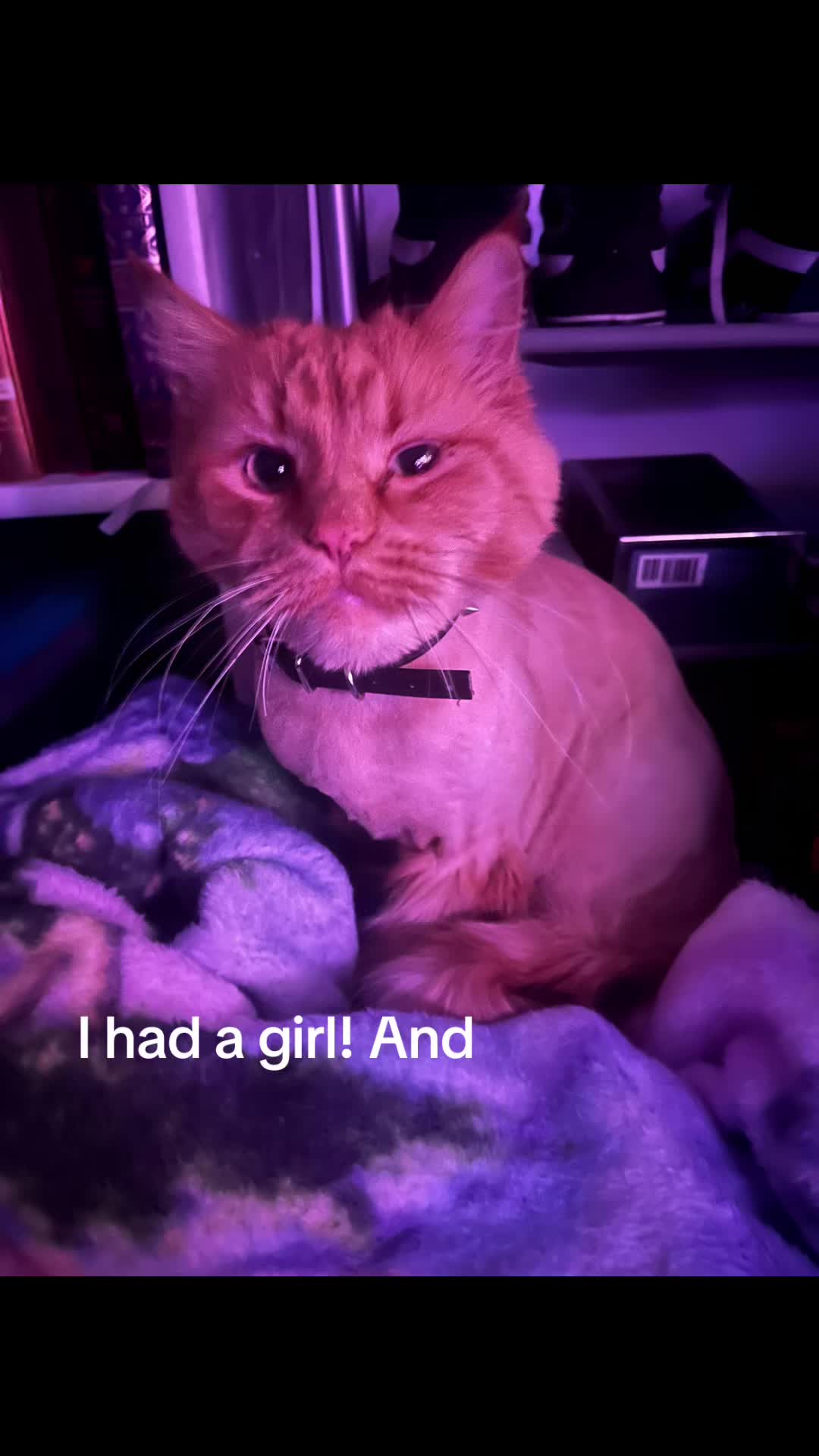 @MurderXP