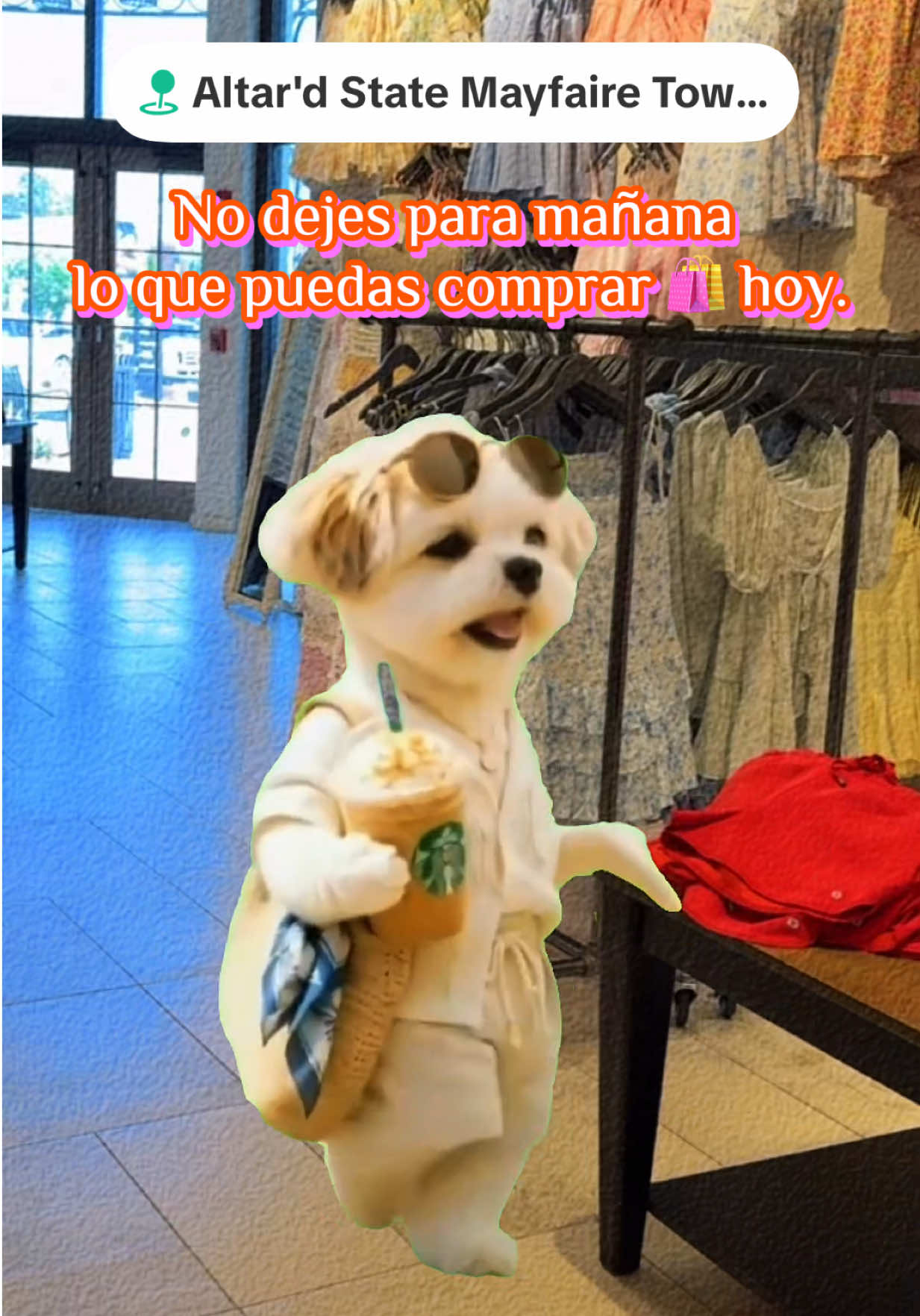 @🌷 𝓗𝓮𝓲𝓭𝔂 𝓓𝓪𝓿𝓪𝓭𝓲 🌷
