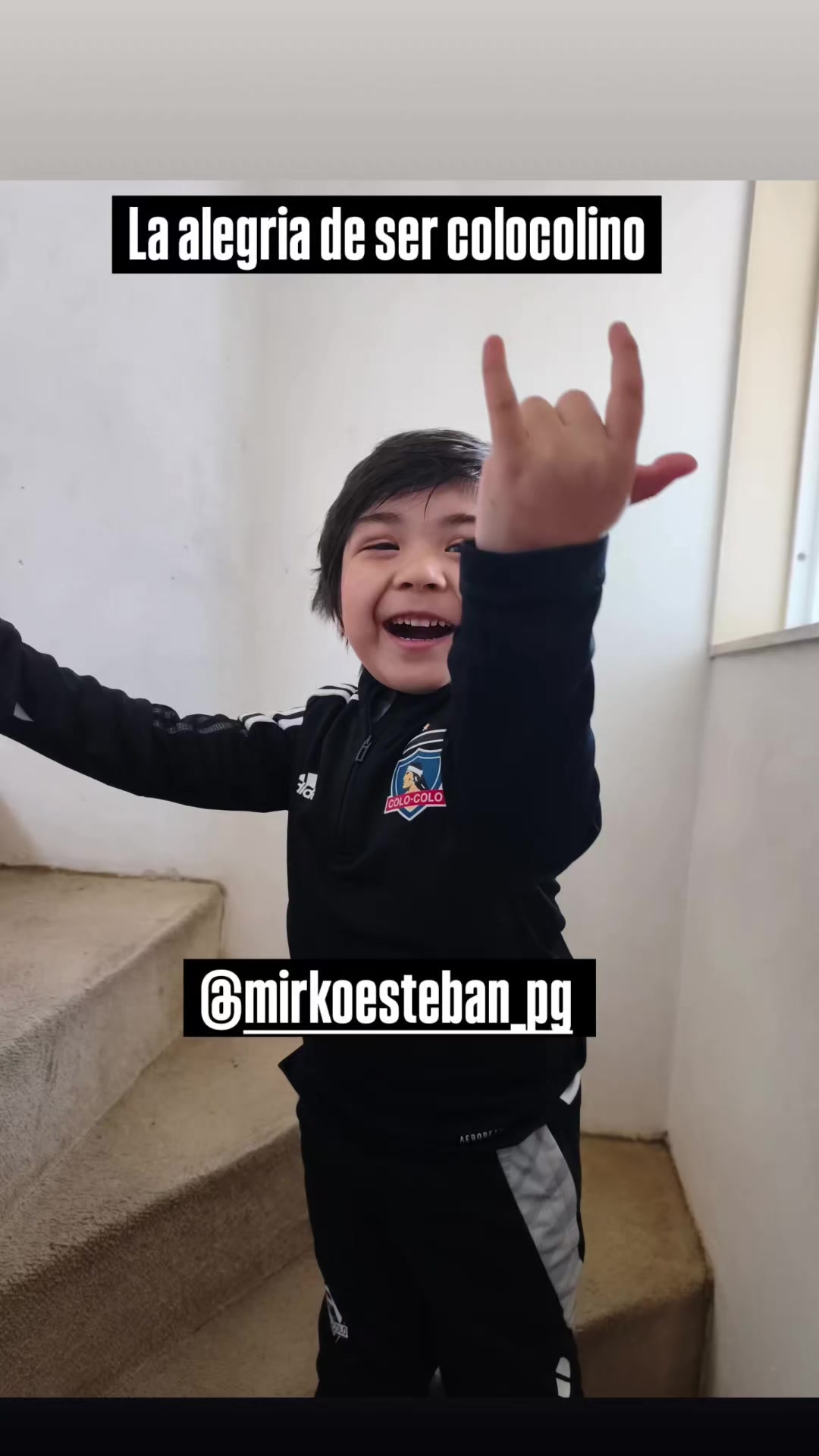 @indumentaria_colocolo_6