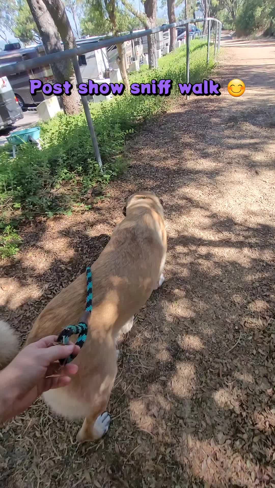 @VioletHorizonsFarm