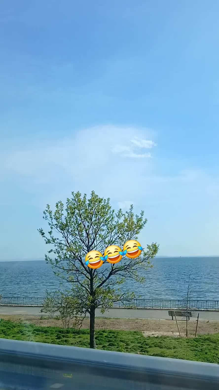 @Meharzaddi103❤️🦋❤️