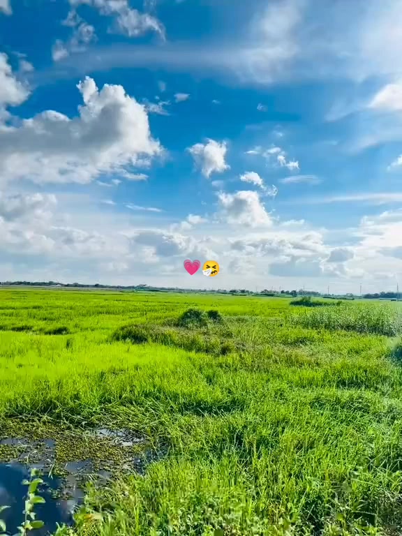 @๐ฏโ๐ชโ๐ทโ๐ทโ๐พโโค๏ธ๐ฉน