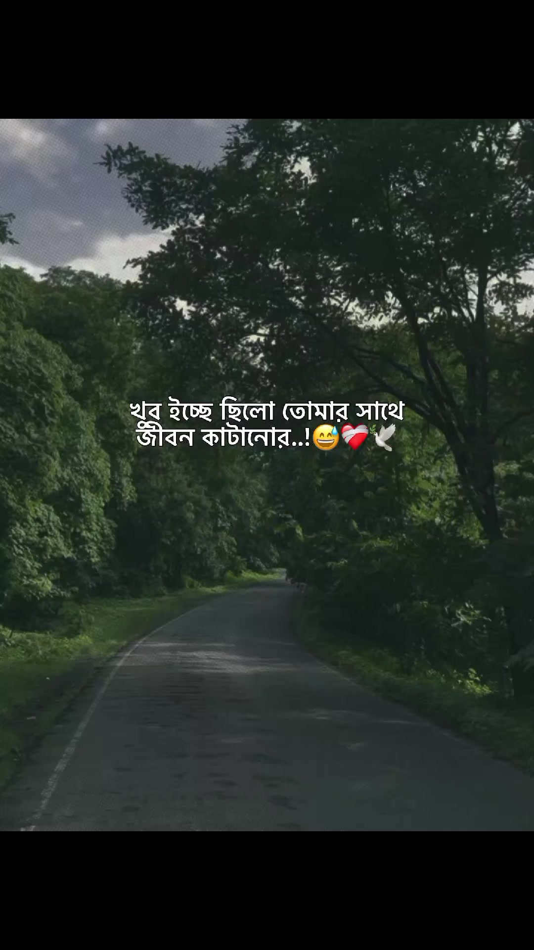 @𝙈𝙞𝙟𝙖𝙣 𝘽𝙝𝙖𝙞𝙮𝙚'♡︎