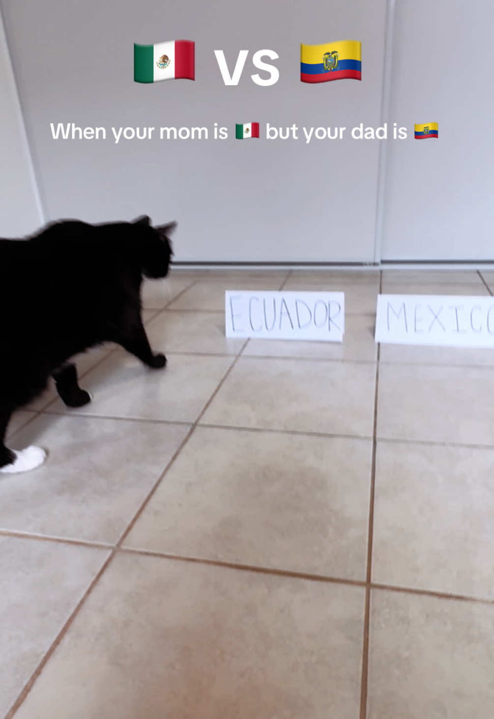 @Latina Cat Mom