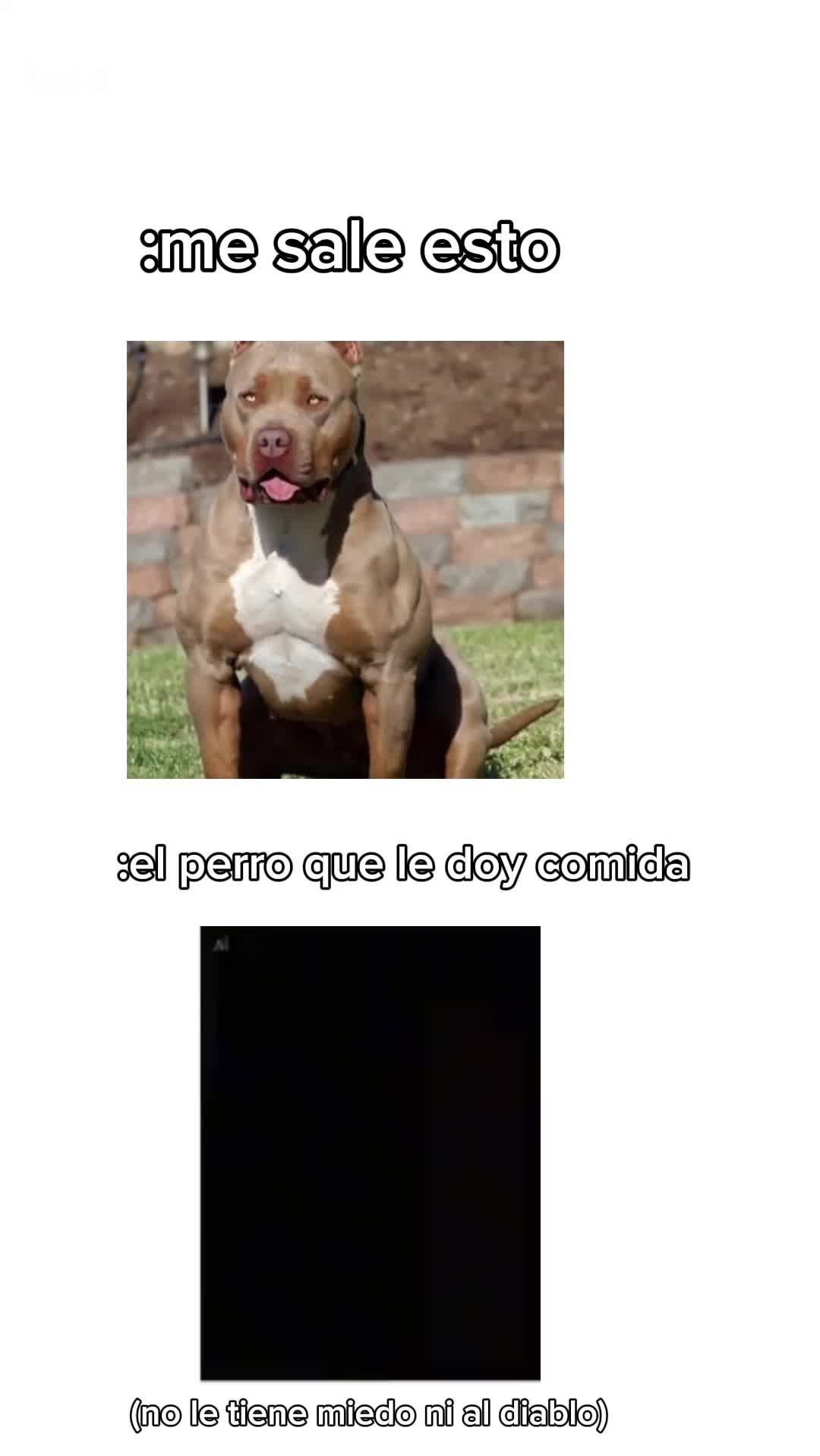 @anx_gelx 👾