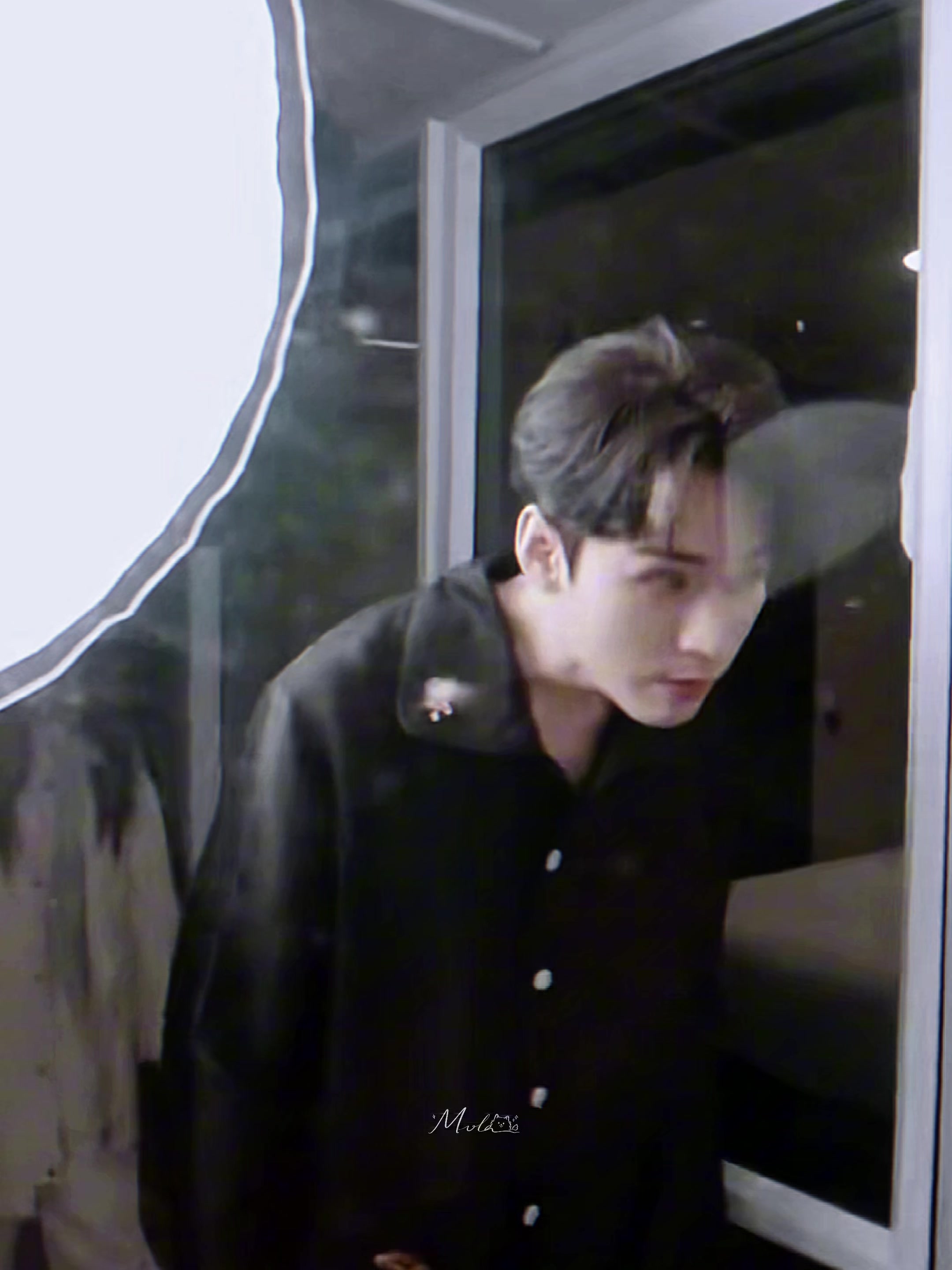 @momo🍃🐹