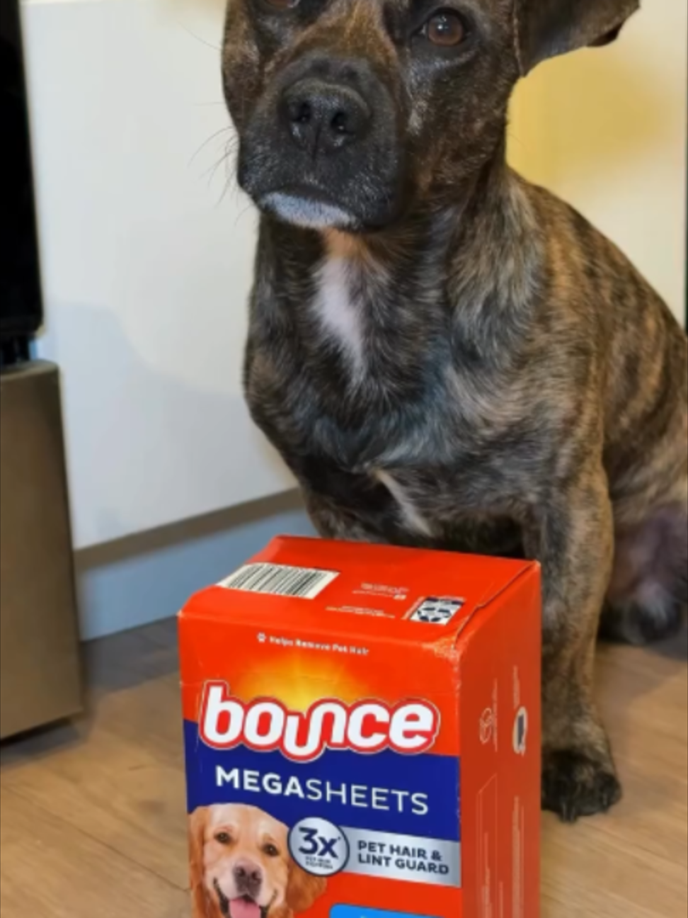 @Bounce