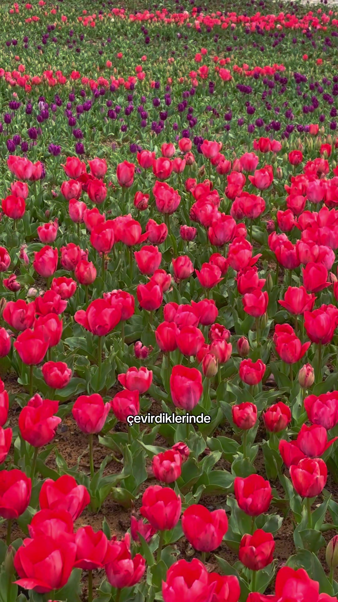 @kendine influnsır