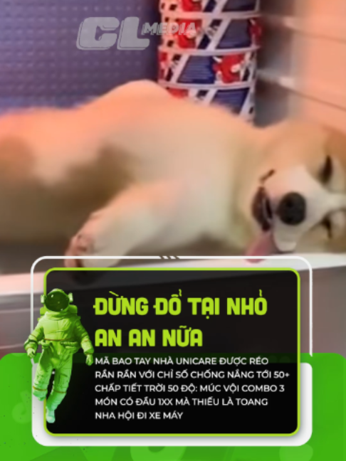 @Du H&agrave;nh TikTok