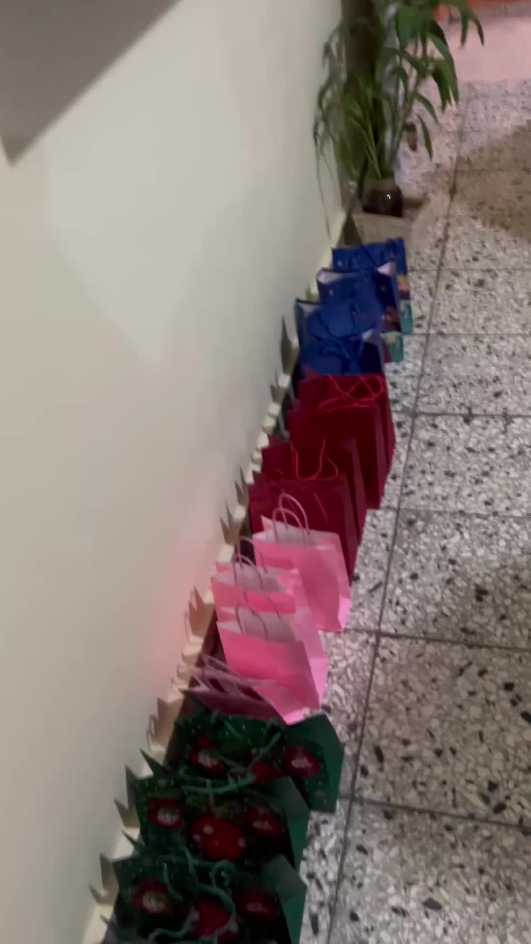 @Ariannys Calderón