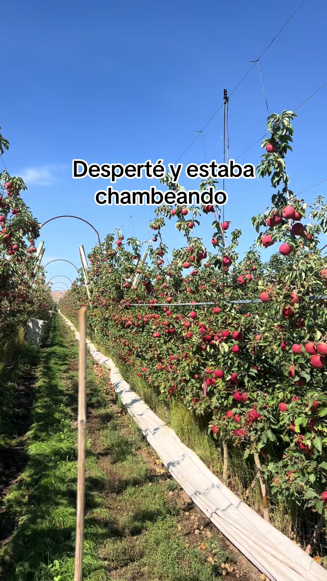 @_ramos_6