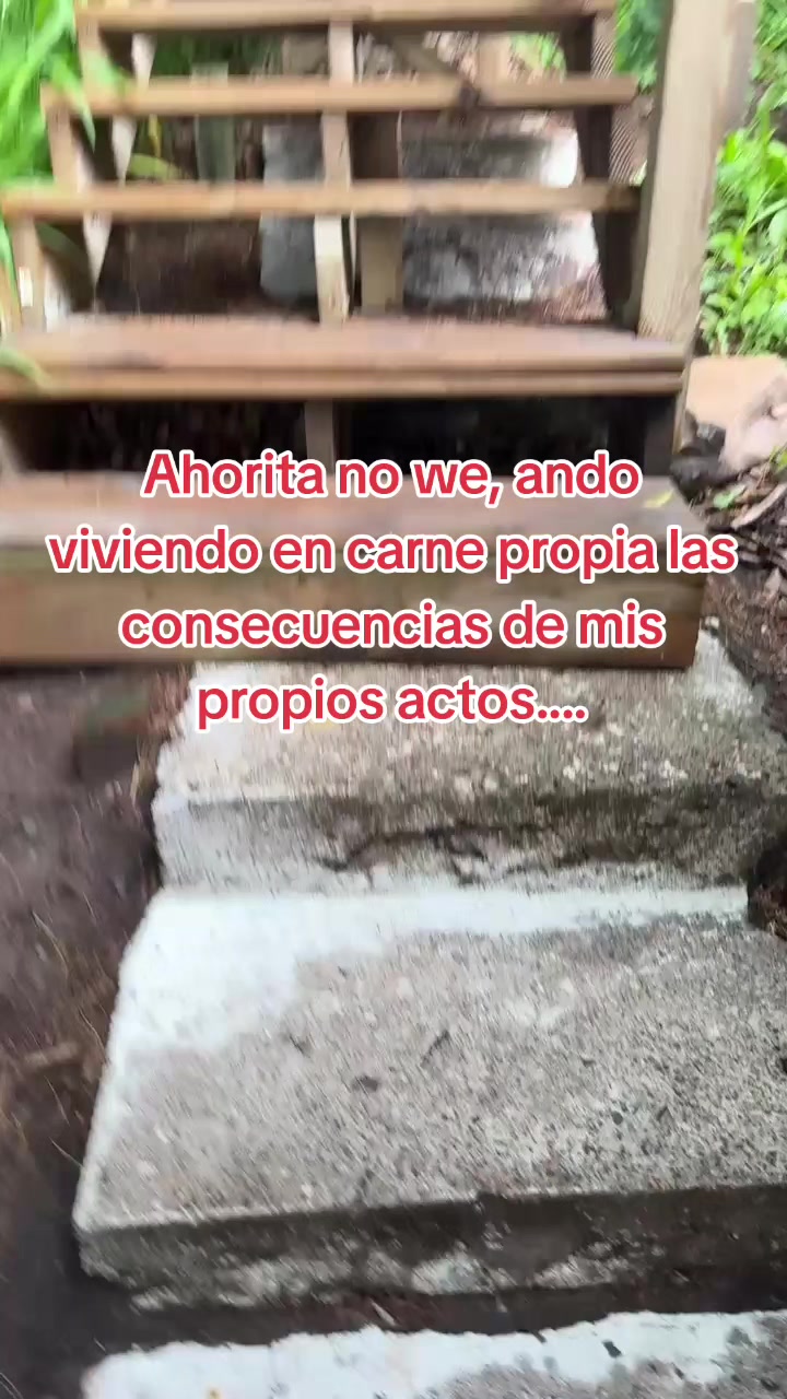 @Lis Cerón