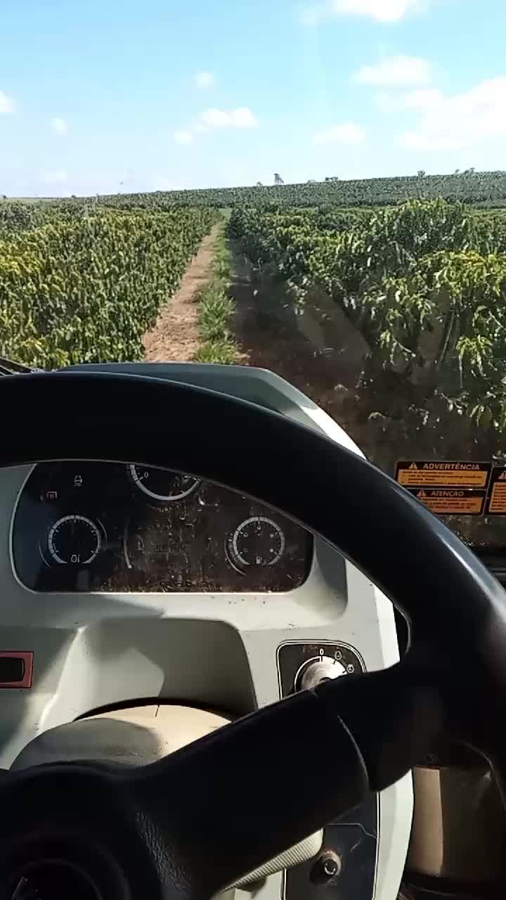 @joaopaulorodri731
