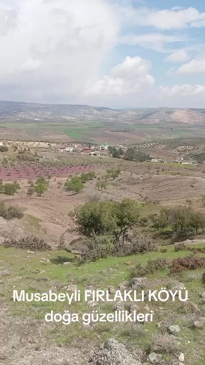 @Ramazan Korkmaz