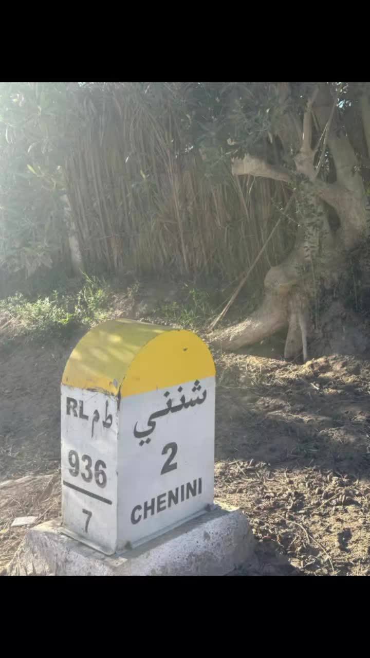 @محمد
