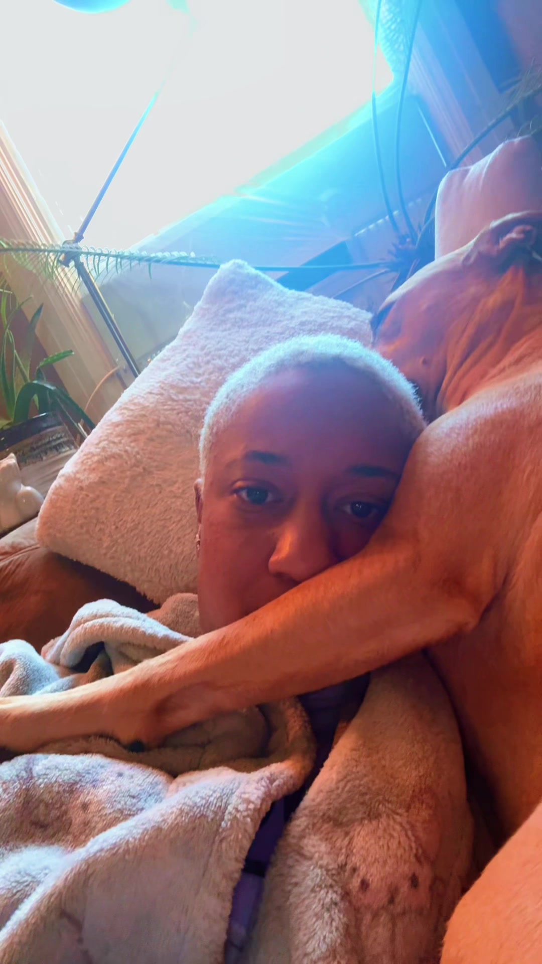 @beabinky