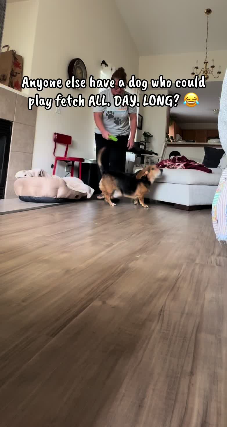 @vineanddandy