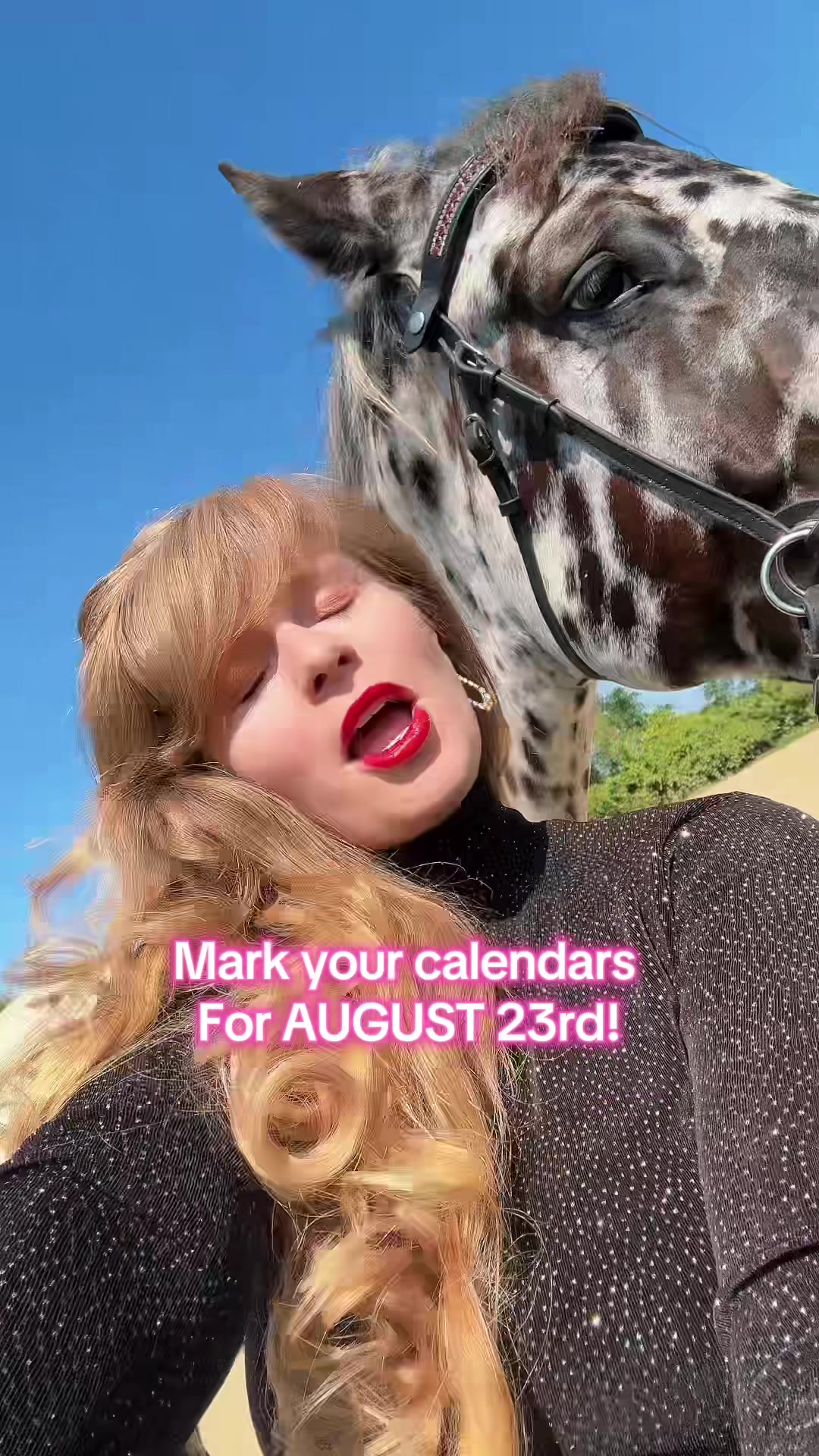 @Free Spirit Equestrian