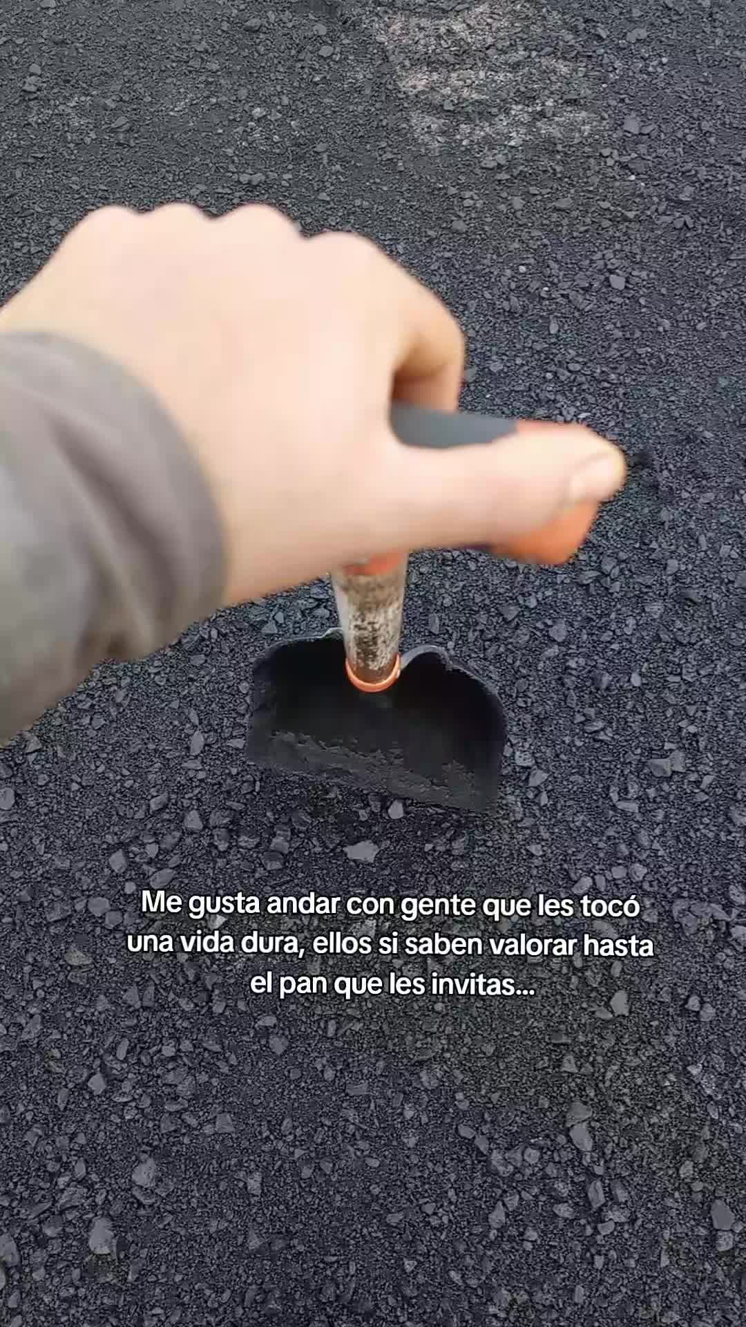 @Flakito 🔱