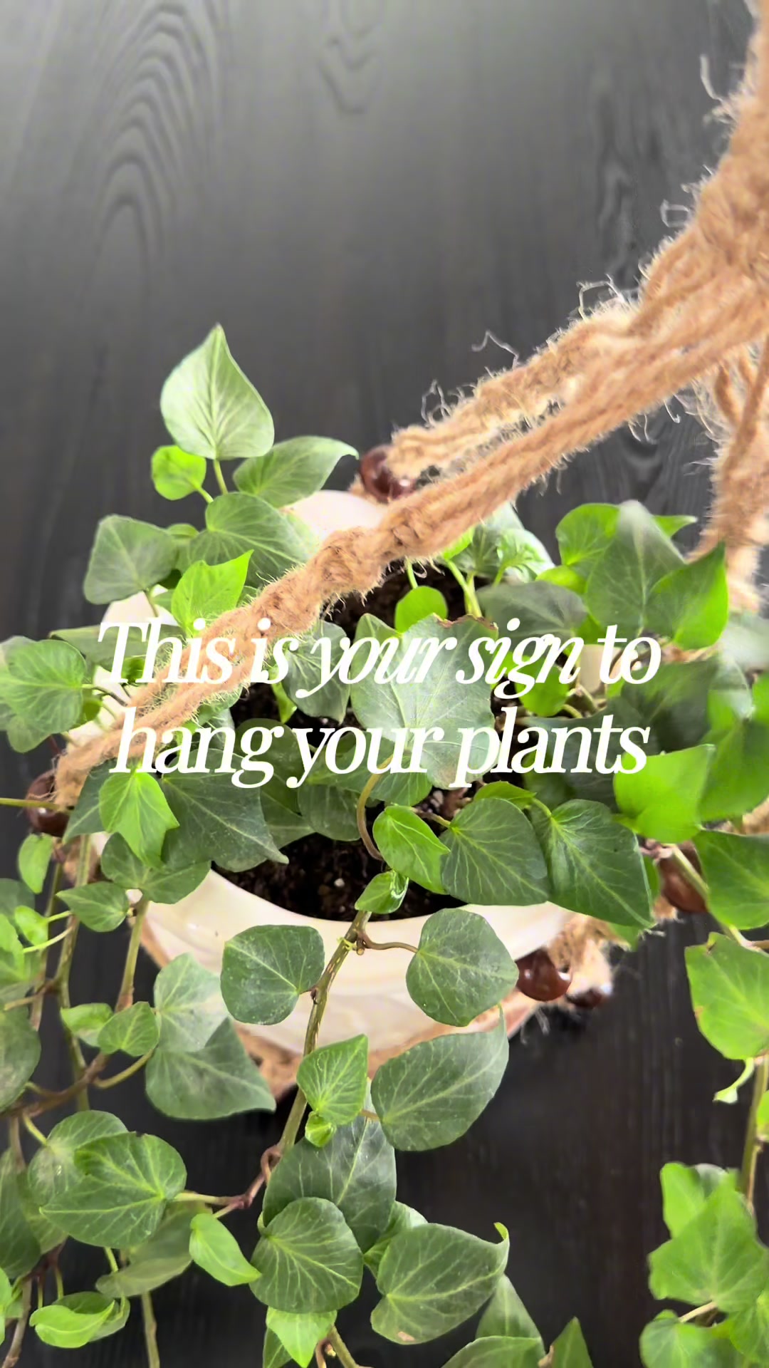 @Vanessa