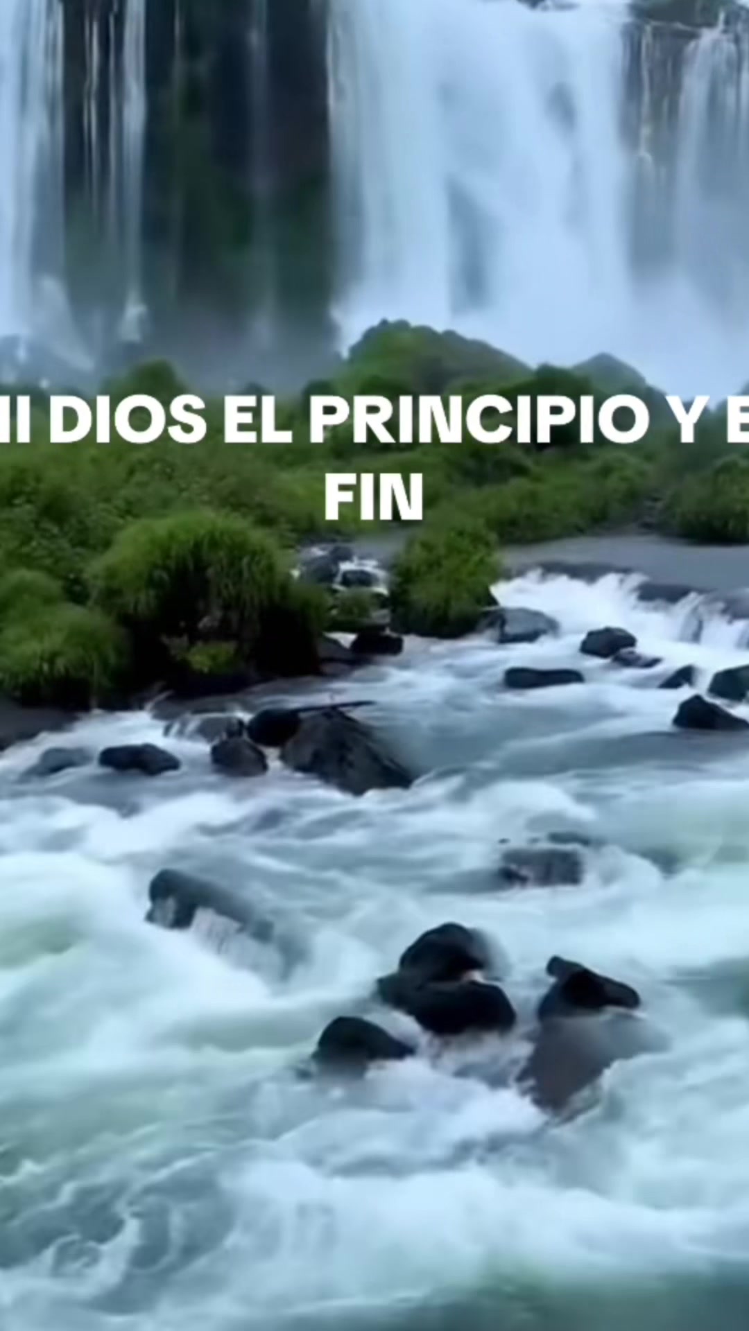 @Ana Flores de Cepeda