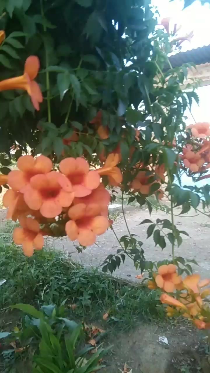 @Ďreám giŕl 😘💕