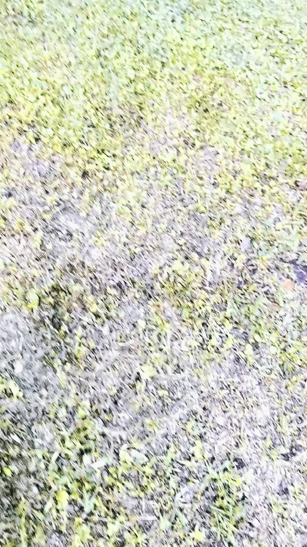 @Чёткая❤🔥