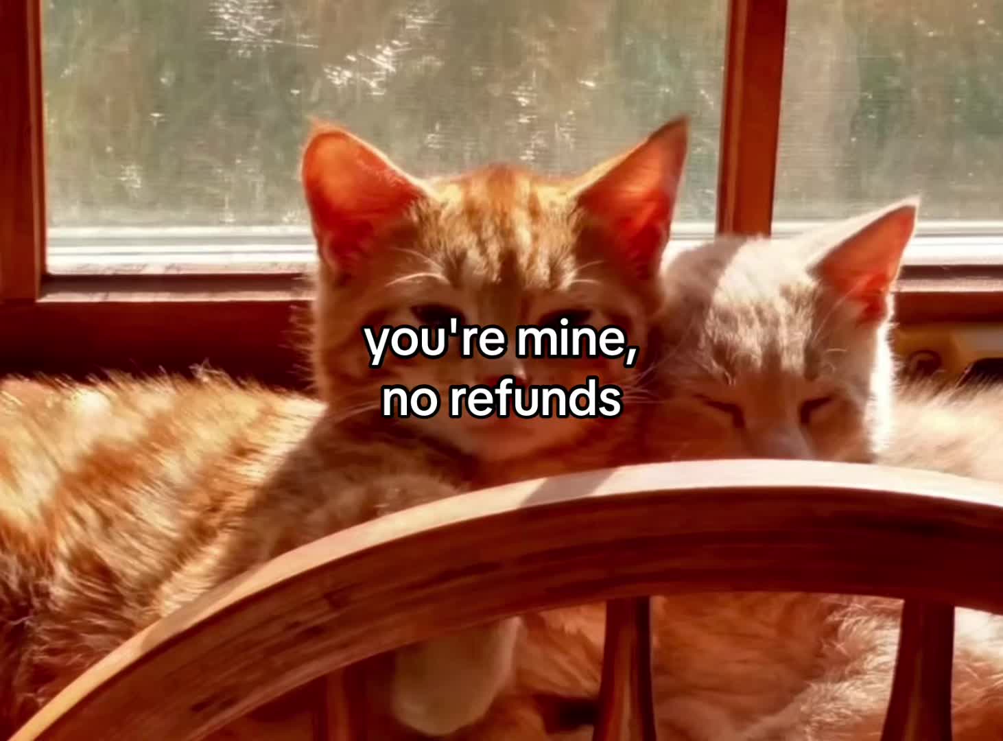 @lovecorrre