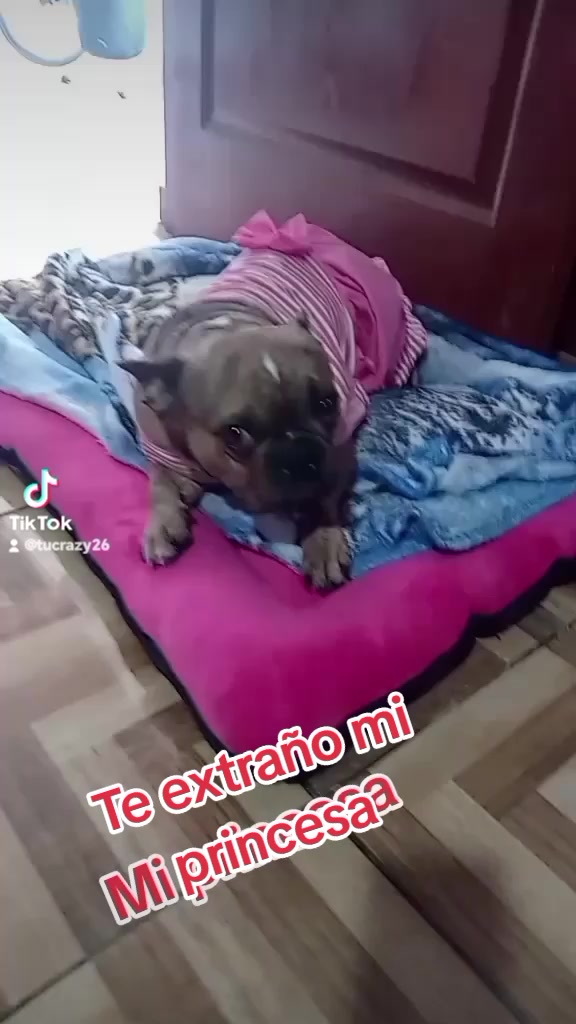 @tukary