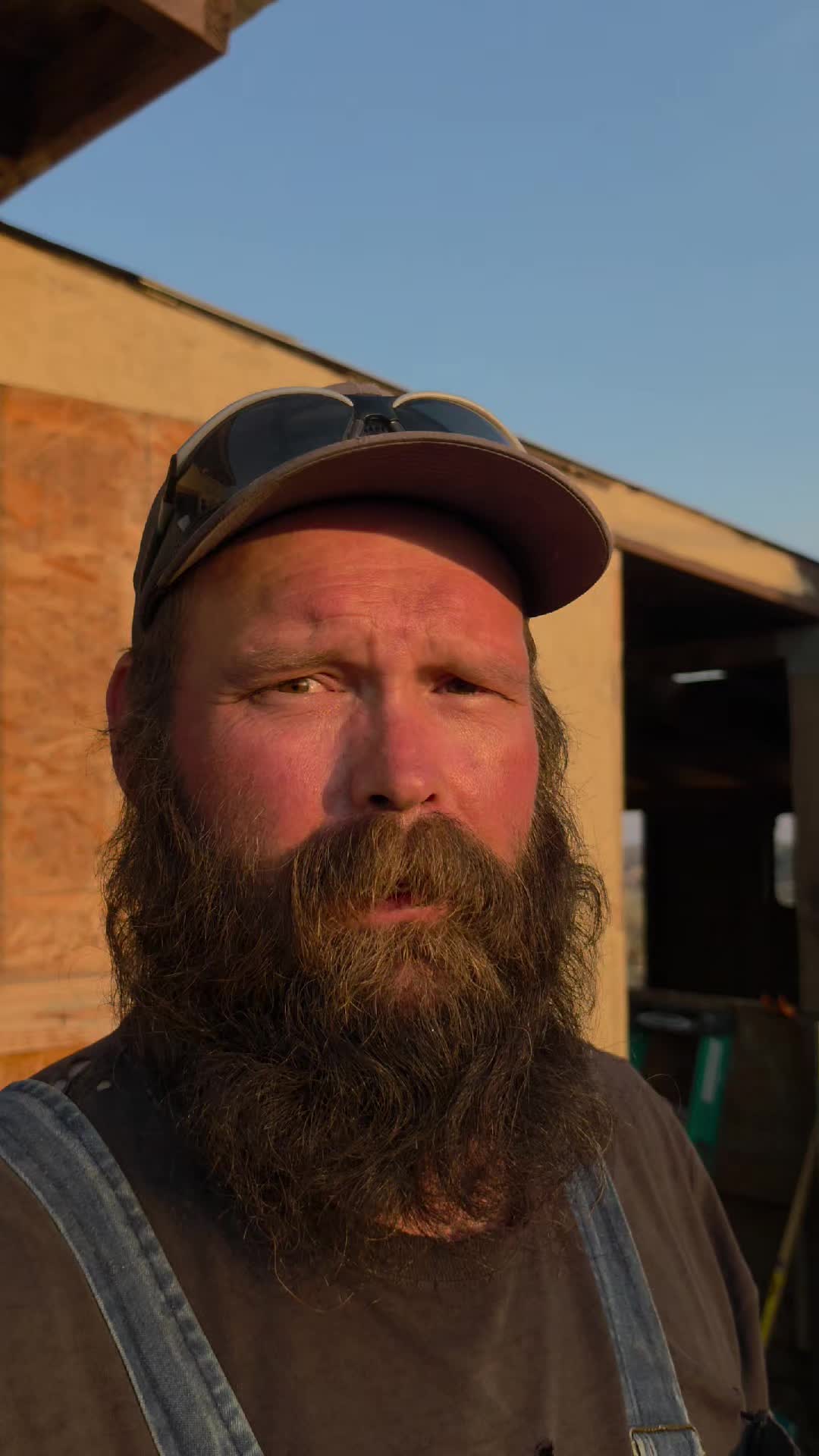 @thebeardedfamily1