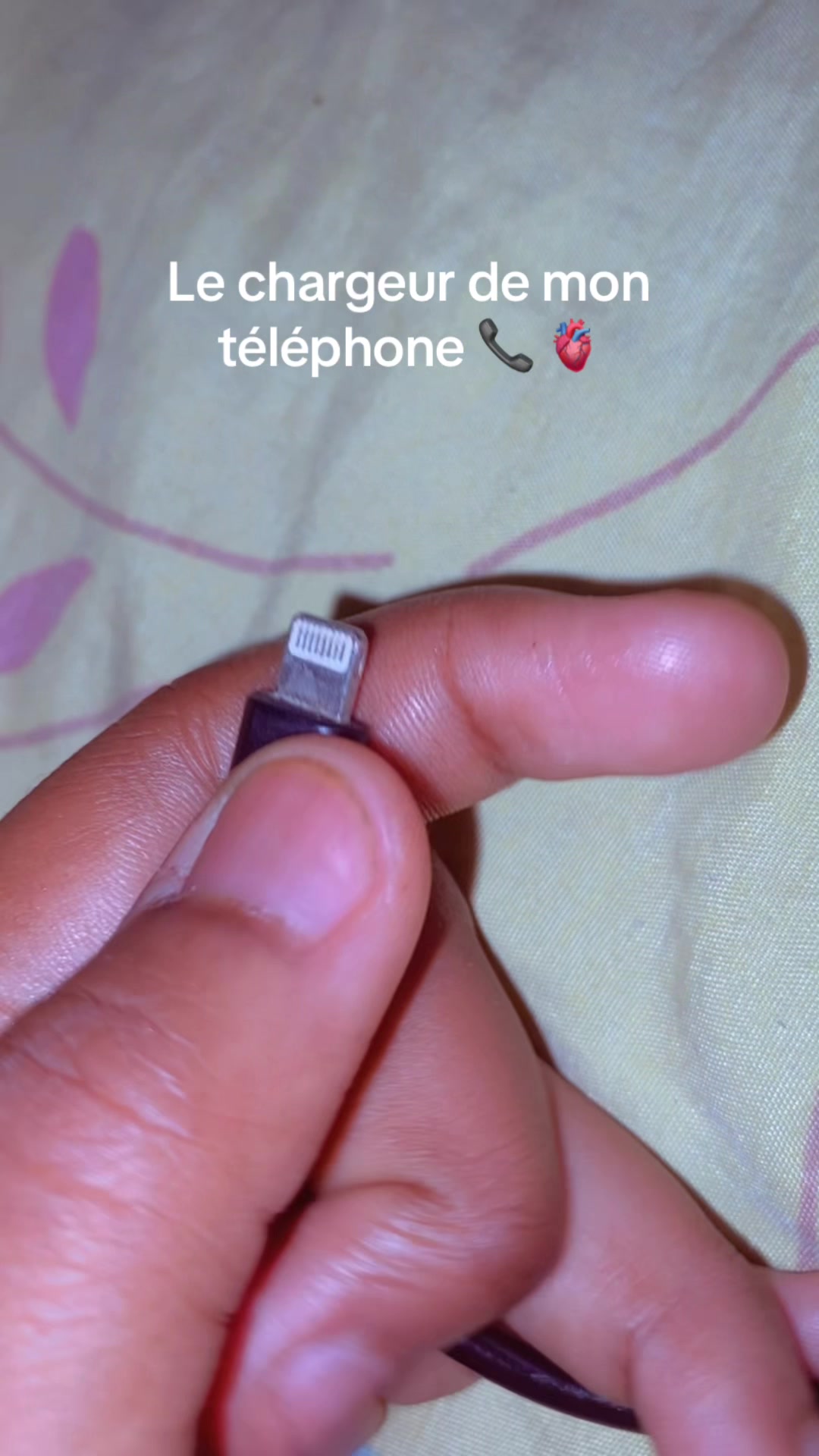 @๐๐น๐ธ๐พ๐ผ๐ด๐ฒ๐ ๐ซฆ