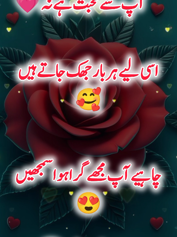 @Janyman379