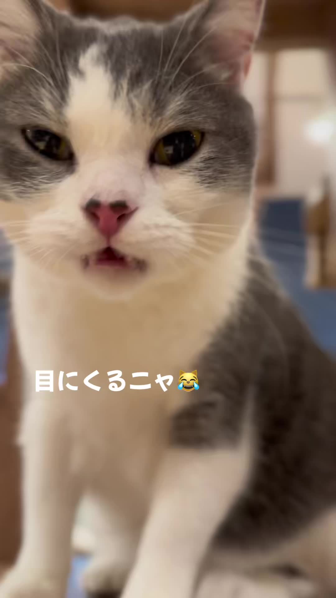 @ラブリーデイ